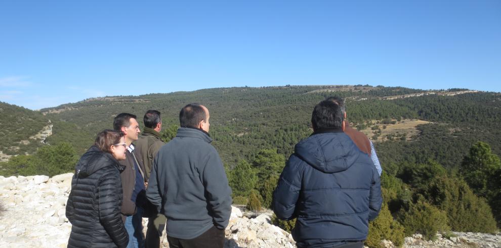 Los recursos forestales y ganaderos tienen futuro