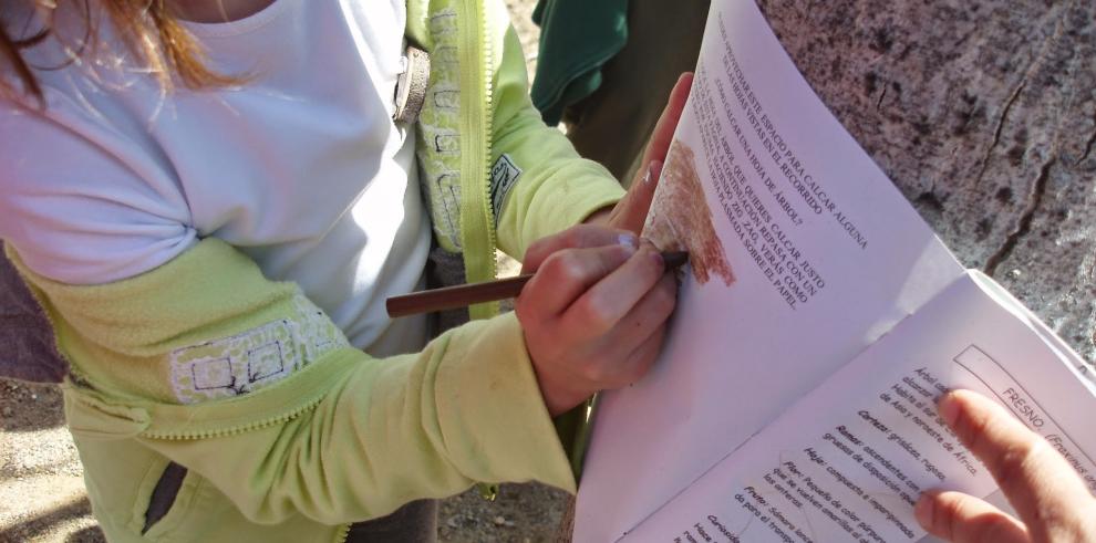 “Naturaleza Viva”, nuevo campamento infantil del Gobierno de Aragón para descubrir los paisajes de La Jacetania 