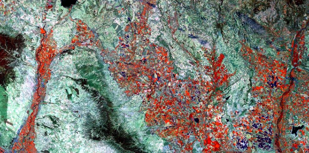 El CITA y la empresa SONEA Ingeniería y Medio Ambiente colaboran para mejorar la gestión agrícola mediante el uso de drones