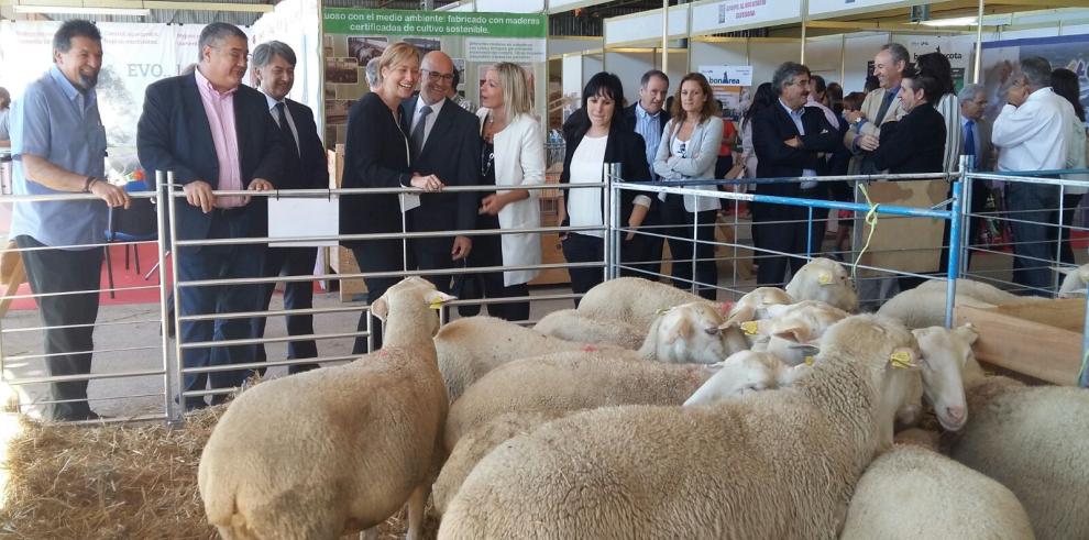 La consejera de Economía, Industria y Empleo, Marta Gastón, inaugura FEMOGA