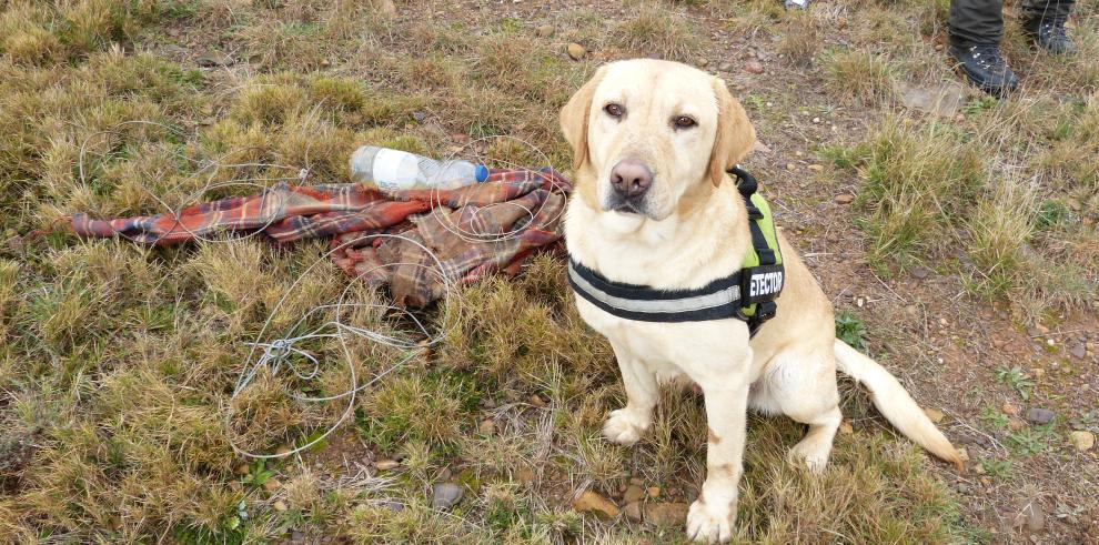 La Unidad Canina Antiveneno avanza hacia las 200 actuaciones