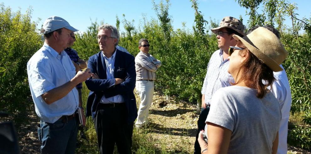 Olona  asegura en Caspe que la innovación institucional necesita foros como el consejo sectorial de agricultura de esta localidad