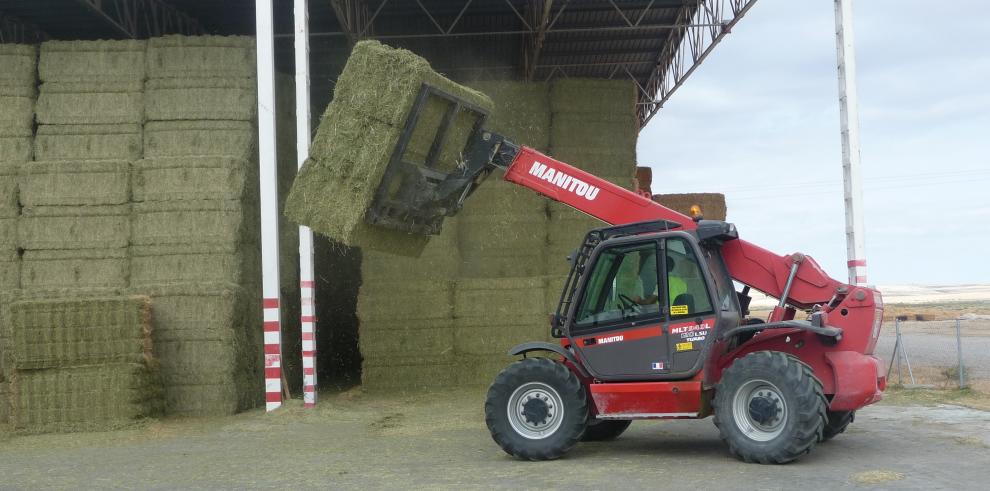 Máximas garantías en la alfalfa aragonesa que se exporta a China