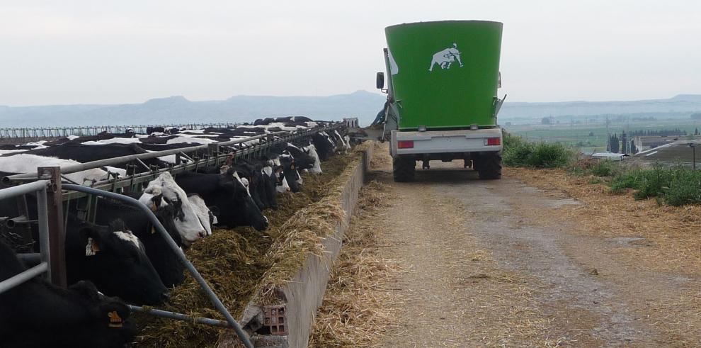 Máximas garantías en la alfalfa aragonesa que se exporta a China