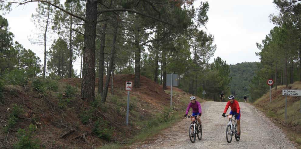 Pinares de Rodeno y Laguna de Gallocanta, a golpe de pedal 