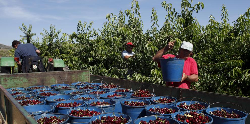 El 15 de octubre finaliza el plazo para renunciar al régimen simplificado de pequeños agricultores