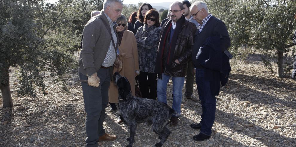 Lambán apuesta por crear la marca Aragón para comercializar la trufa y convertirla en seña de identidad de la agroalimentación de la Comunidad