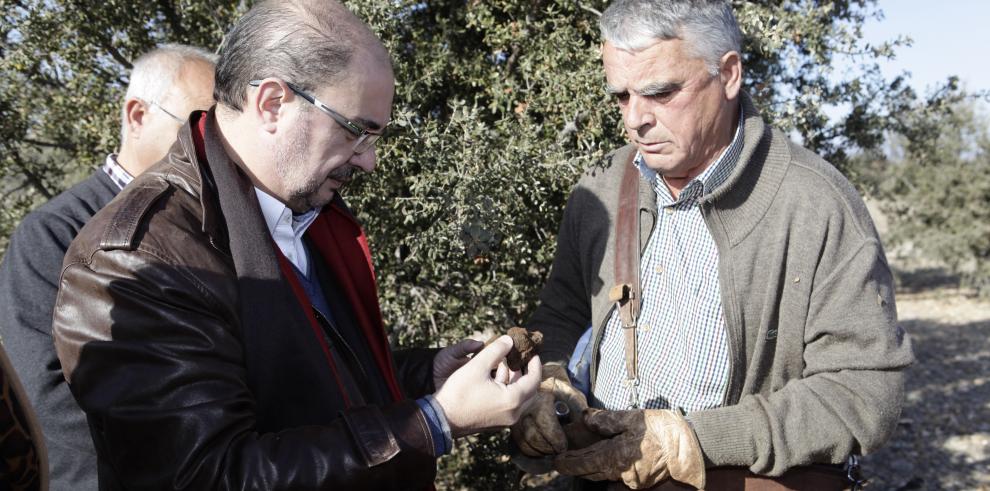 Lambán apuesta por crear la marca Aragón para comercializar la trufa y convertirla en seña de identidad de la agroalimentación de la Comunidad