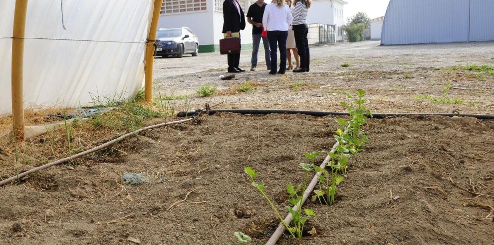 Más de 19.350 alumnos estudian este curso enseñanzas de Formación Profesional 