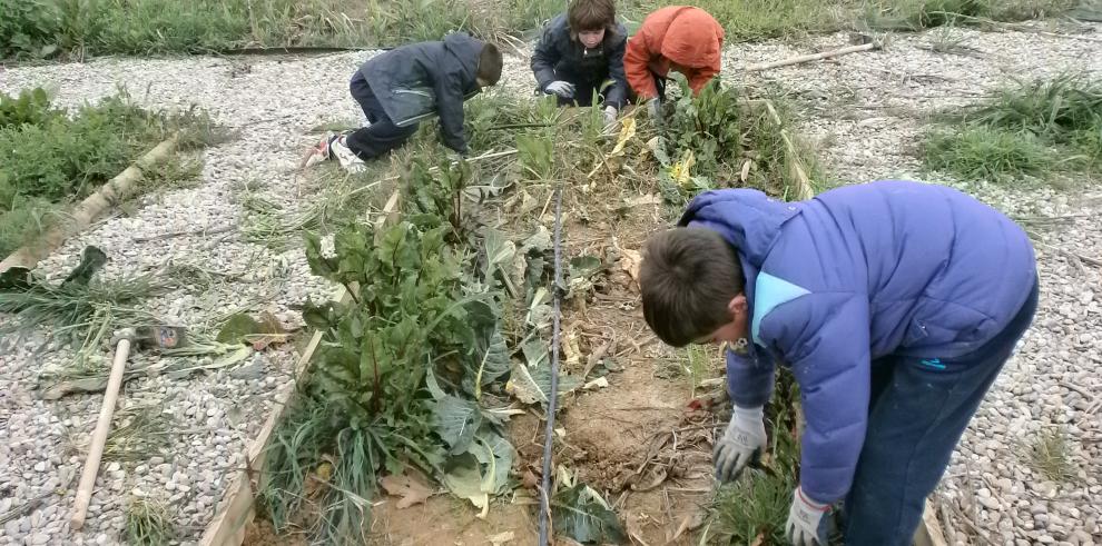 Espacio Alfranca lanza multitud de actividades para disfrutar de la primavera en familia 