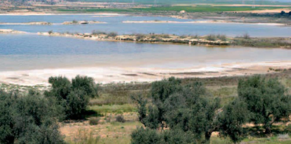 La Reserva Natural de las Saladas de Chiprana a salvo gracias al aporte de agua extra