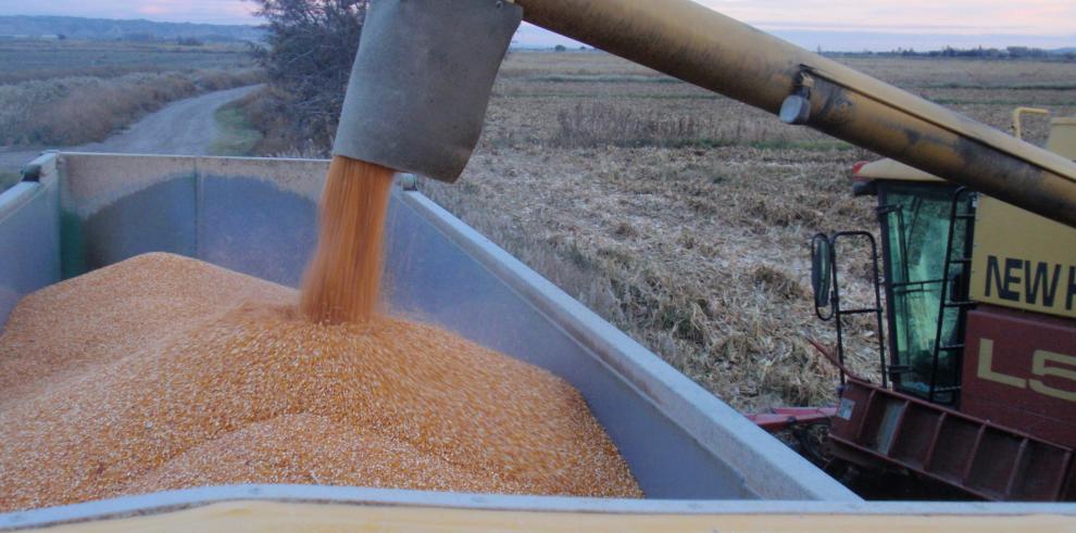 Más de 850 jóvenes han recibido ayudas esta legislatura  para hacer de la agricultura su profesión y 2.100 han modernizado su explotación.