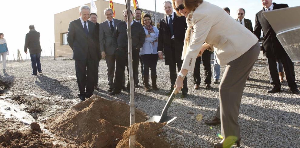 Rudi: “El futuro del sector porcino aragonés pasa por incorporar valor añadido al producto”