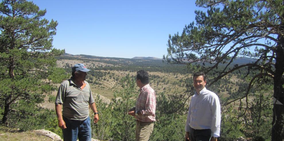 Gobierno de Aragón y Diputación de Teruel ponen en marcha el convenio para la prevención de incendios forestales