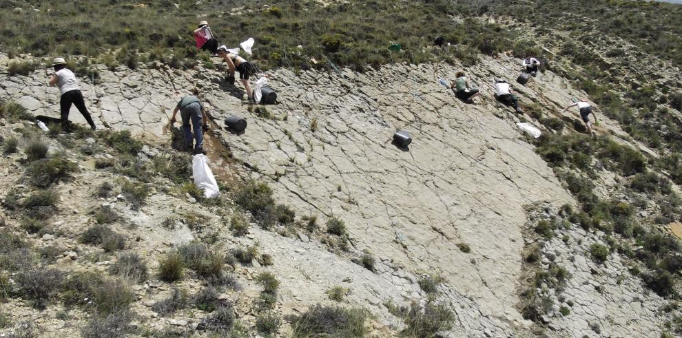 El IAJ destina 120.000 euros a subvenciones para la realización de Campos de Trabajo 2015