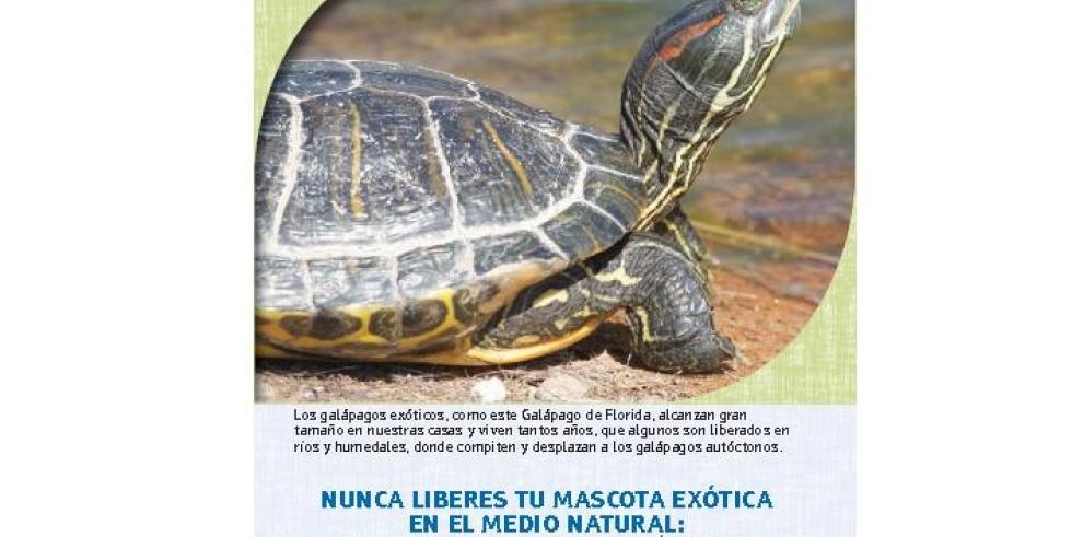 El plazo para informar sobre la posesión de mascotas invasoras termina el 4 de agosto 