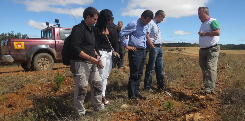 Ariza estrena un nuevo monte repoblado de 130 hectáreas