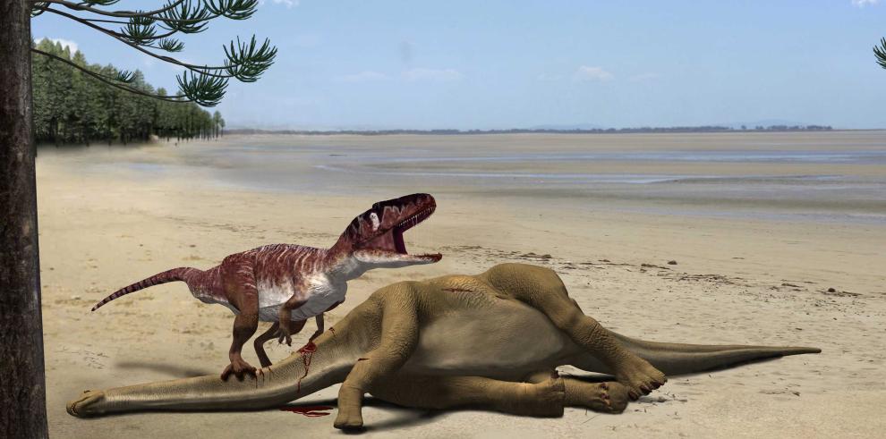 Identifican nuevos fósiles de grandes dinosaurios carnívoros en Teruel 