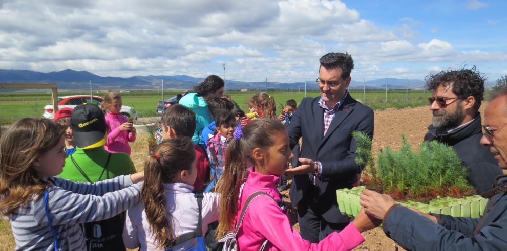 7.000 árboles, pinos en su mayoría, aportación de Alfamén al Día del Arbol