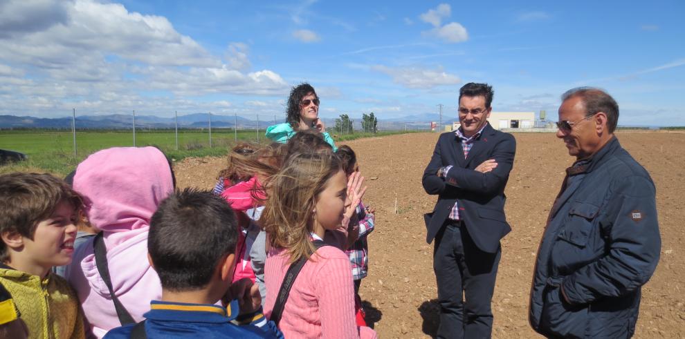 7.000 árboles, pinos en su mayoría, aportación de Alfamén al Día del Arbol