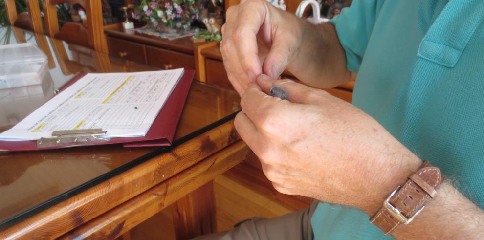 Más de 300 aficionados a la ornitología en Aragón 