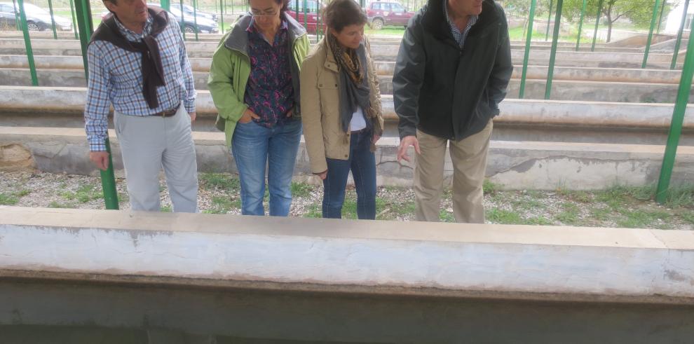 Cerca de 32.000 alevines de truchas para los ríos Guadalaviar, Jiloca y Jalón