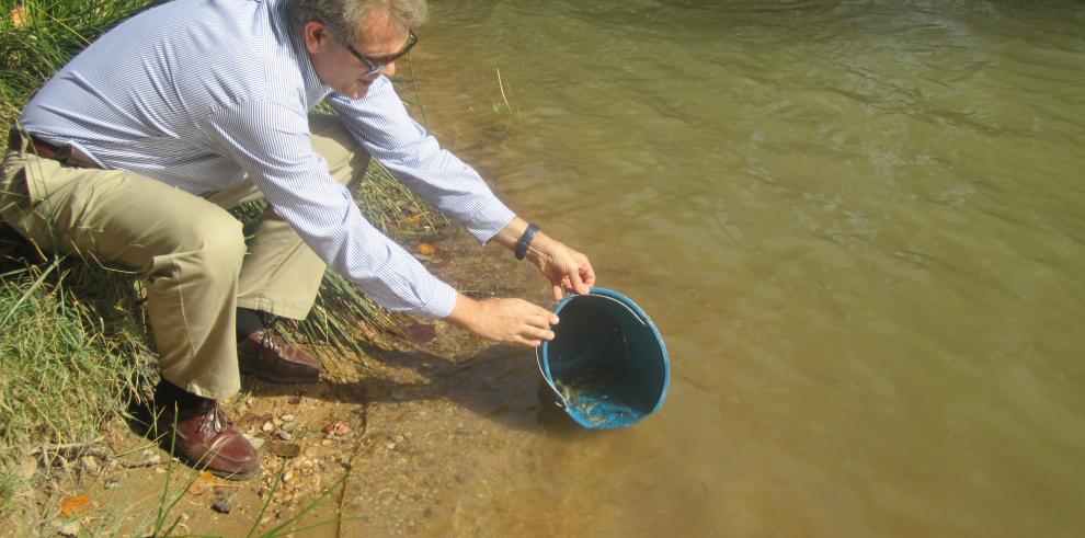 El río Jalón protagonista del control del visón americano, la pesca eléctrica y la repoblación de la trucha autóctona 