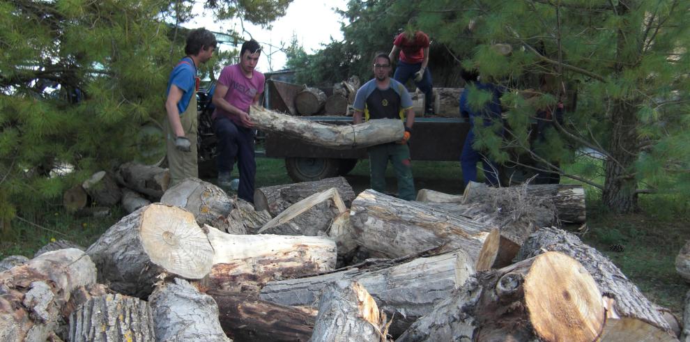 El Instituto de Formación Agroambiental (IFA) de Jaca trabajará en la ordenación forestal del Monte  “El Boalar”