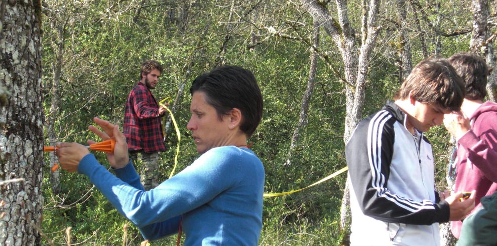 El Instituto de Formación Agroambiental (IFA) de Jaca trabajará en la ordenación forestal del Monte  “El Boalar”