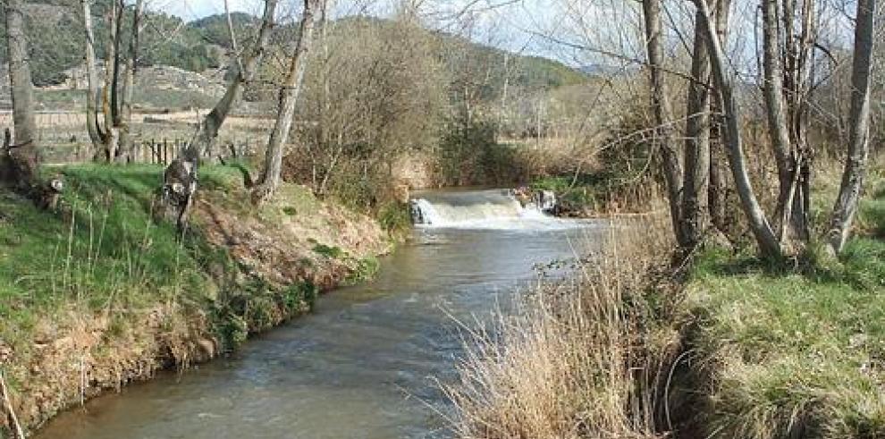 El INAGA autoriza la limpieza del cauce del río Jiloca aunque excluye el interior de la Laguna del Cañizar