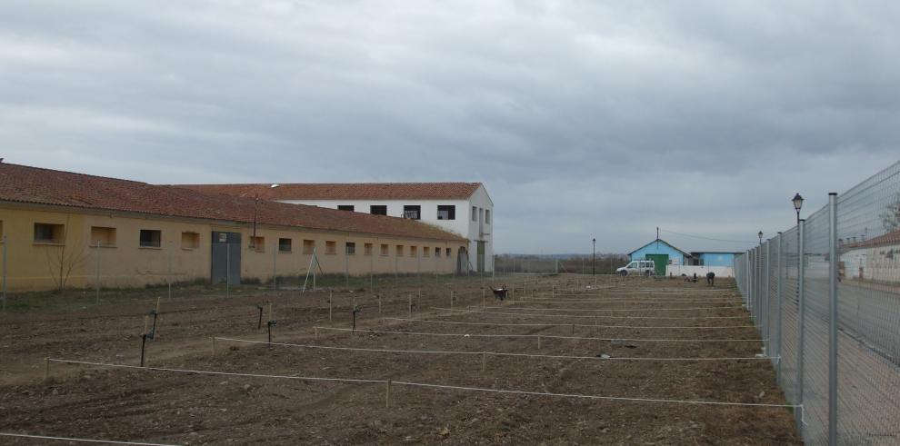 Espacio Alfranca albergará en marzo 50 huertos urbanos de alquiler