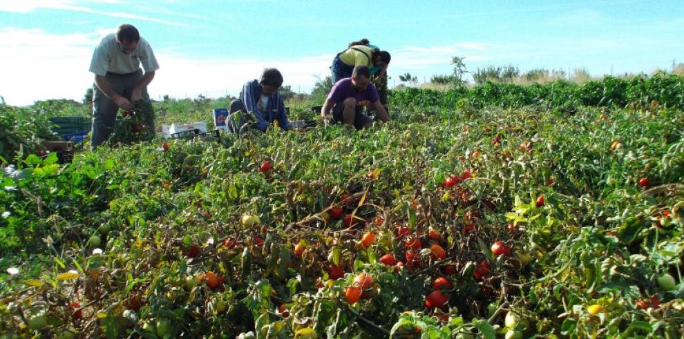 La ecología, el medio ambiente y el arte se unen en el espacio del CDAN 