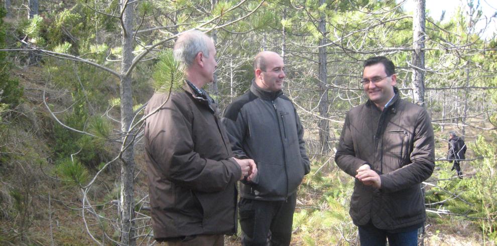 Nueva imagen para el monte de Ibort, cerca de Sabiñánigo