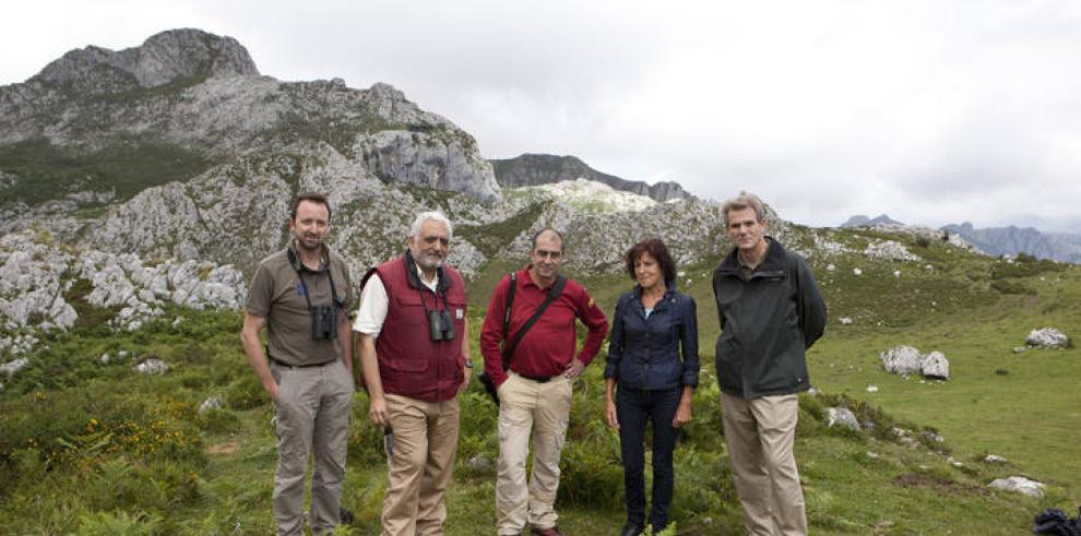 Liberados dos quebrantahuesos aragoneses en los Picos de Europa