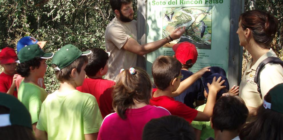 V Campus de Verano de Espacio Alfranca, la consolidación de una divertida  iniciativa veraniega para los más pequeños