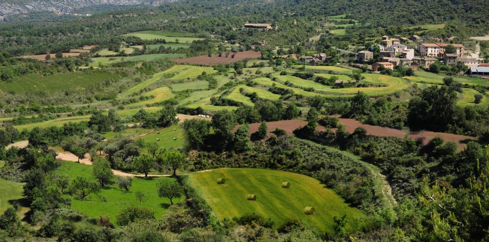 El CITA cuantifica la multifuncionalidad de la agricultura de montaña