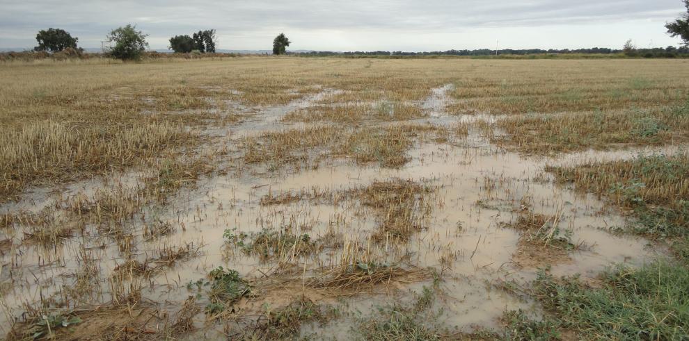 Mejorar las prácticas agrícolas y tratar las aguas, la mejor solución para controlar los nitratos en el agua potable