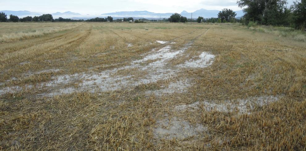 Mejorar las prácticas agrícolas y tratar las aguas, la mejor solución para controlar los nitratos en el agua potable