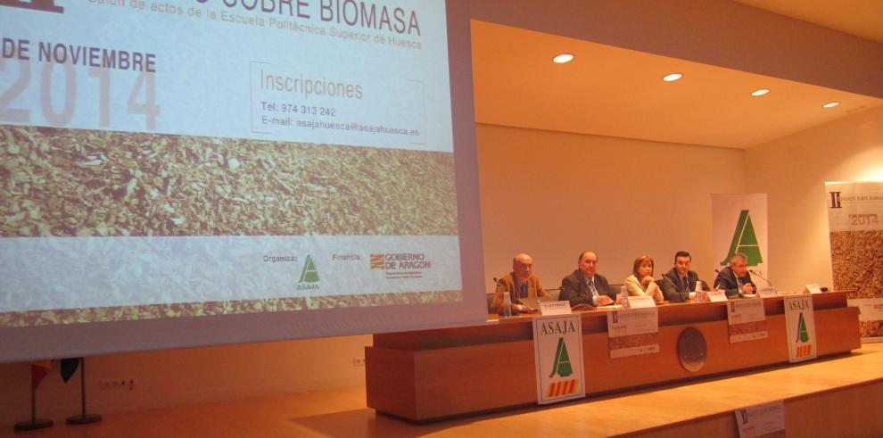 Aragón cuenta con un gran potencial en el sector de la Biomasa