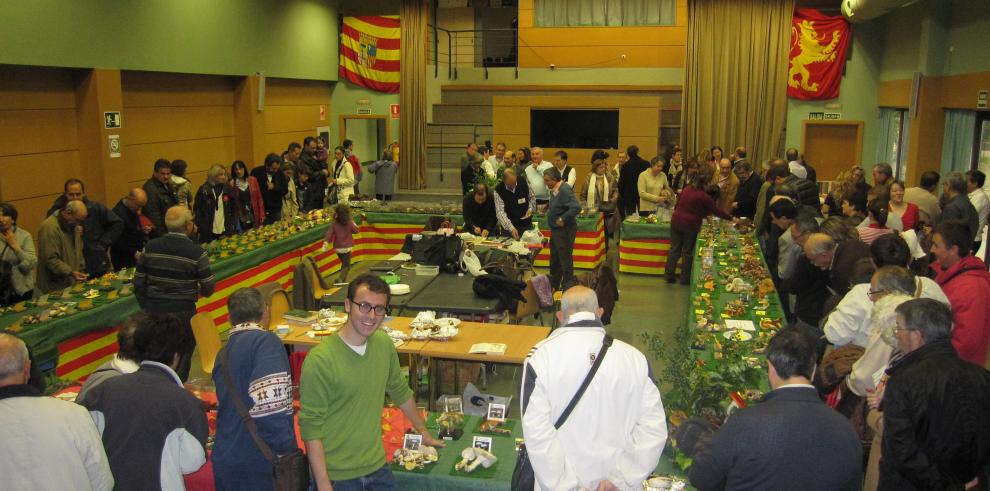 Aragón organizará 115 ferias oficiales en 2014