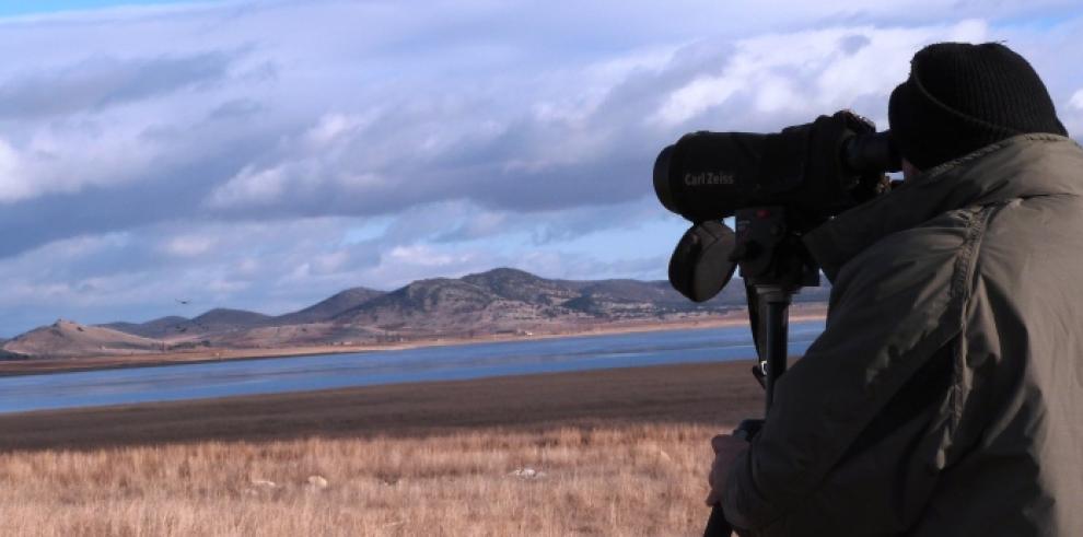 Aragón cuenta con más de 87.000 aves acuáticas invernantes