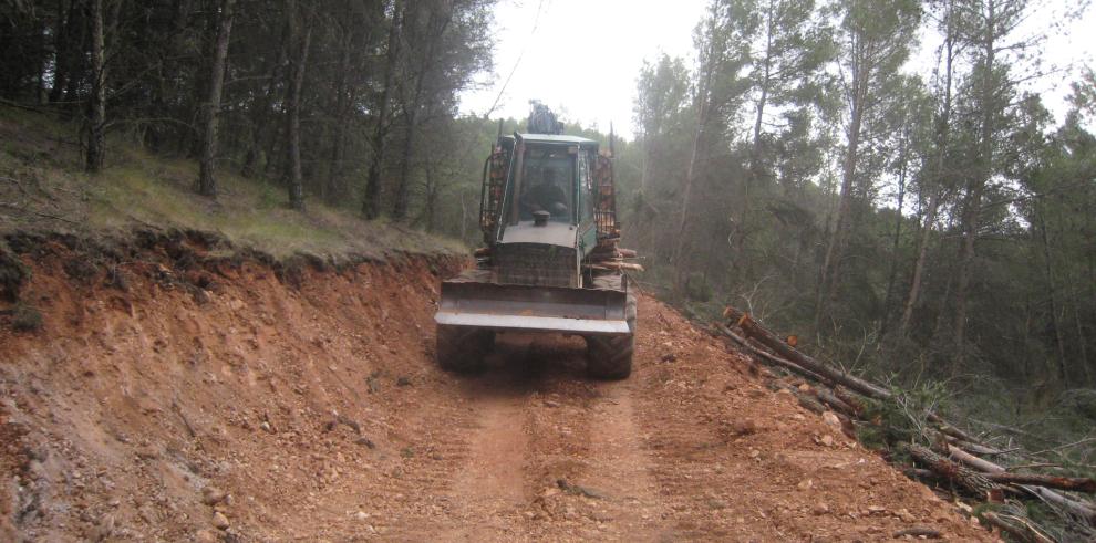 El monte de Tosos renueva su aspecto