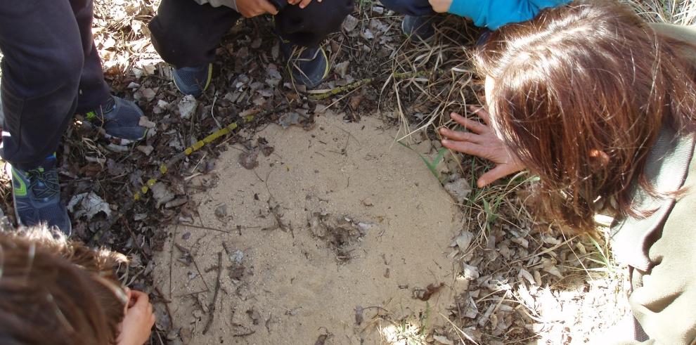 El Día Mundial del Medio Ambiente se celebra en Espacio Alfranca con actividades especiales para el este fin de semana