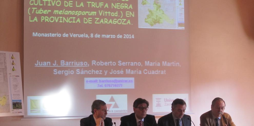 El Gobierno de Aragón y la Diputación Provincial de Zaragoza exponen los resultados de la investigación sobre potencialidad trufera de la provincia de Zaragoza