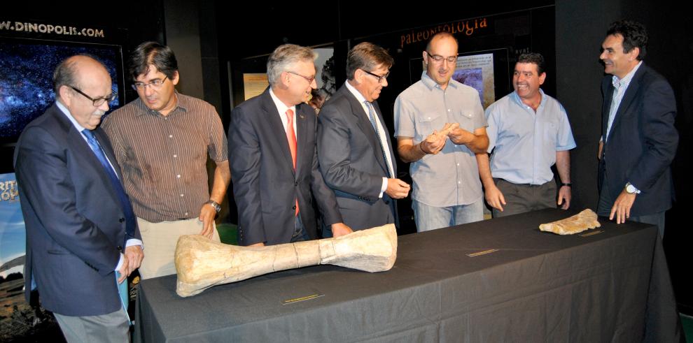 Nueva clasificación, nueva edad y nuevos fósiles de Aragosaurus, el primer dinosaurio español