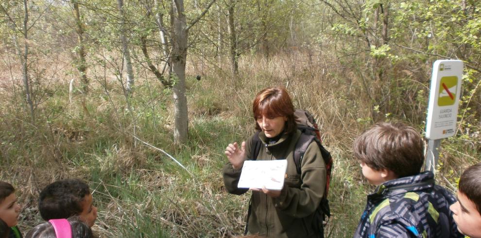 Espacio Alfranca amplía su oferta de actividades al aire libre para los fines de semana 