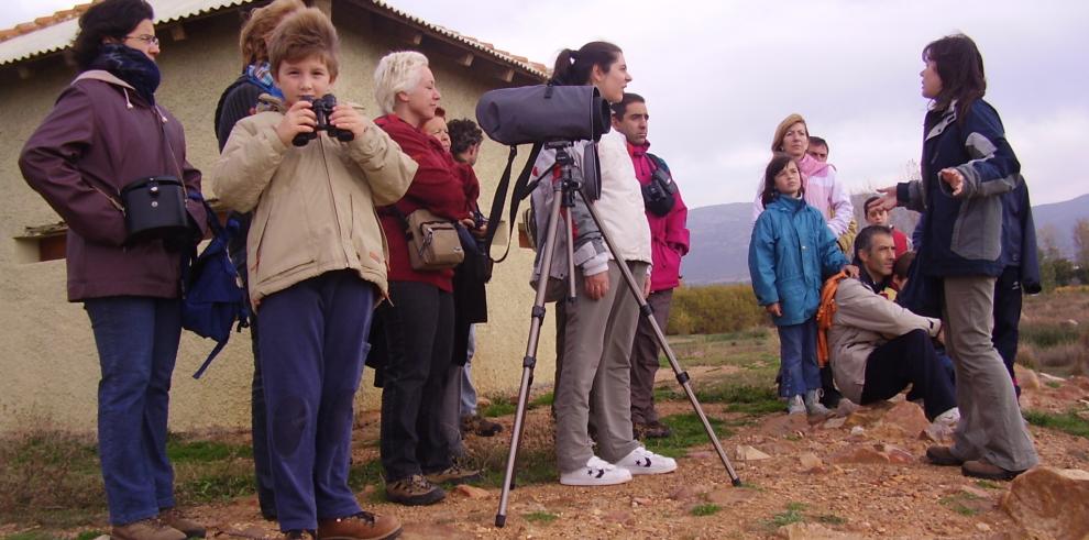 Comienzan las rutas para ver las grullas en la Laguna de Gallocanta