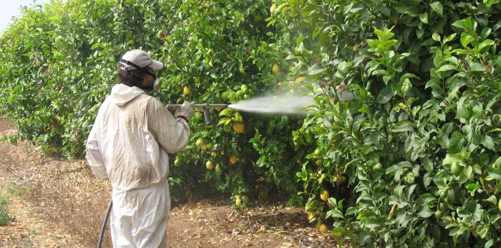 El campo aragonés se prepara para lograr un uso sostenible de los plaguicidas 