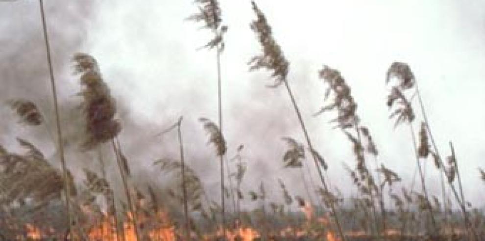  Puesta en marcha de la nueva campaña de prevención y lucha contra incendios en Aragón