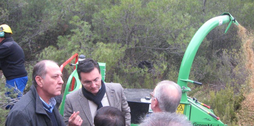 Dos cuadrillas culminan trabajos forestales y de prevención de incendios en el Bajo Aragón